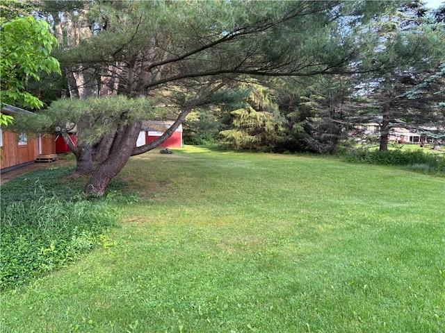 1237 County Highway 11, Davenport, NY 13860 - view of grassy yard