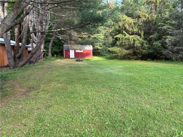 1237 County Highway 11, Davenport, NY 13860 - view of grassy yard with a storage shed