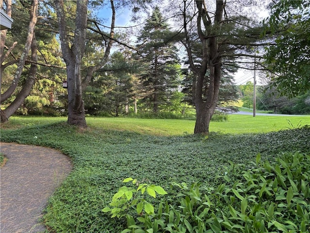 1237 County Highway 11, Davenport, NY 13860 - view of grassy yard