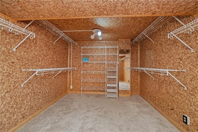 24 Gray St, Rochester, NY 14609 - walk in closet with carpet floors