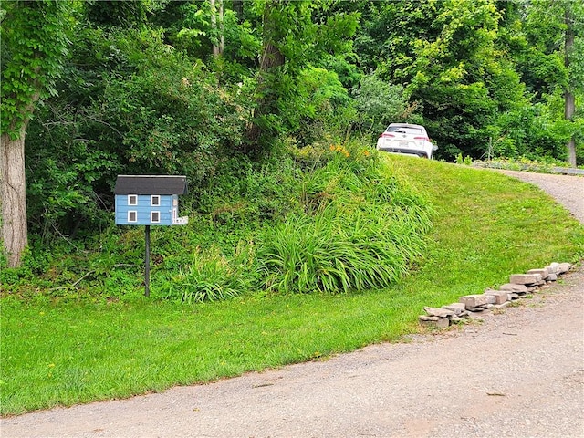 3904 Castle Point Rd, Starkey, NY 14842 - exterior space
