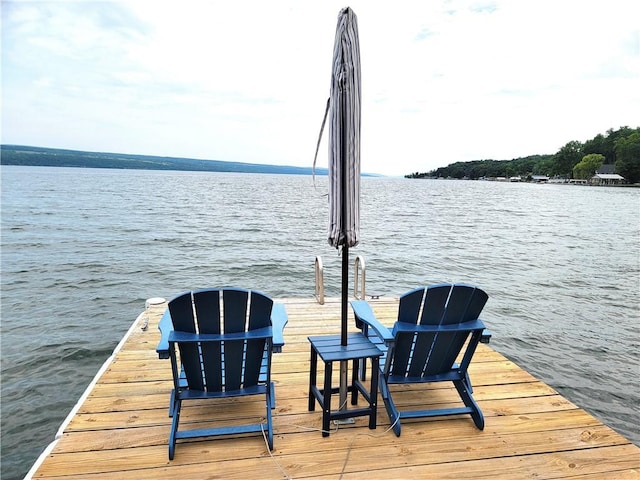 3904 Castle Point Rd, Starkey, NY 14842 - dock area with a water view
