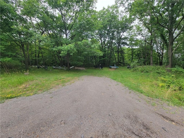 3904 Castle Point Rd, Starkey, NY 14842 - view of road featuring a view of trees