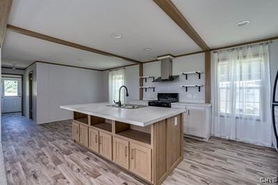 27634 County Route 342, Le Ray, NY 13612 - kitchen with open shelves, stove, light countertops, and light wood-style flooring