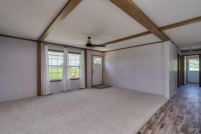 27634 County Route 342, Le Ray, NY 13612 - unfurnished living room with ceiling fan and carpet