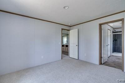 27634 County Route 342, Le Ray, NY 13612 - unfurnished bedroom with carpet and crown molding