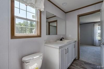 27634 County Route 342, Le Ray, NY 13612 - bathroom featuring vanity, ornamental molding, and wood finished floors