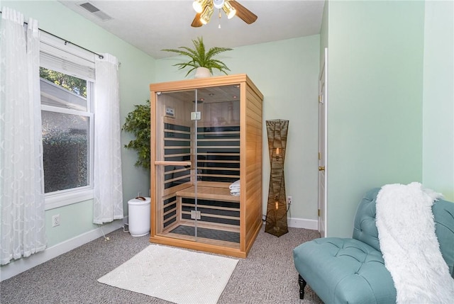 228 Southshore Pl, Webster, NY 14580 - relaxing sauna with carpet floors
