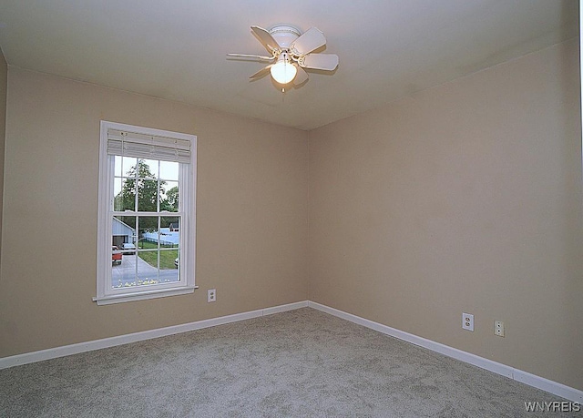 7175 Lenmart Dr, Wheatfield, NY 14120 - photo 22