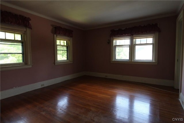 307 Farmer St, Syracuse, NY 13203 - photo 21