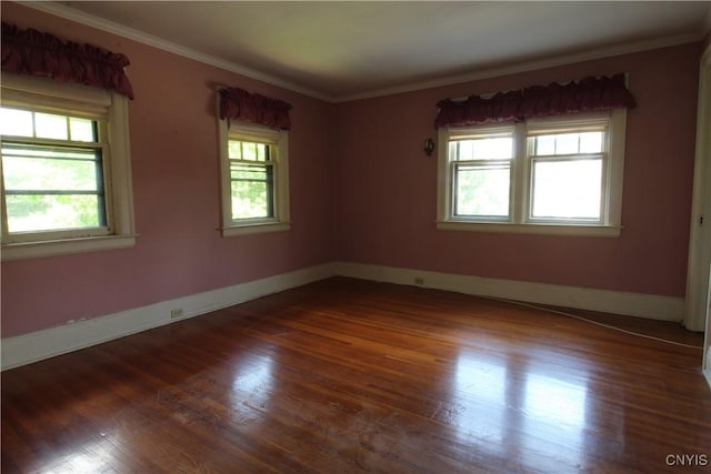 307 Farmer St, Syracuse, NY 13203 - photo 22
