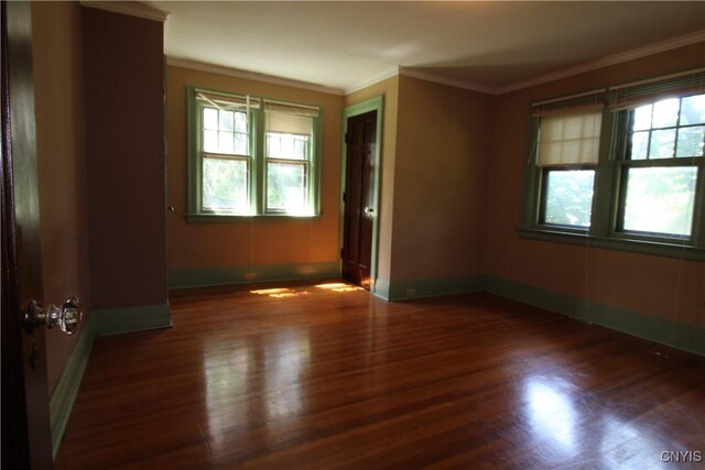 307 Farmer St, Syracuse, NY 13203 - photo 30