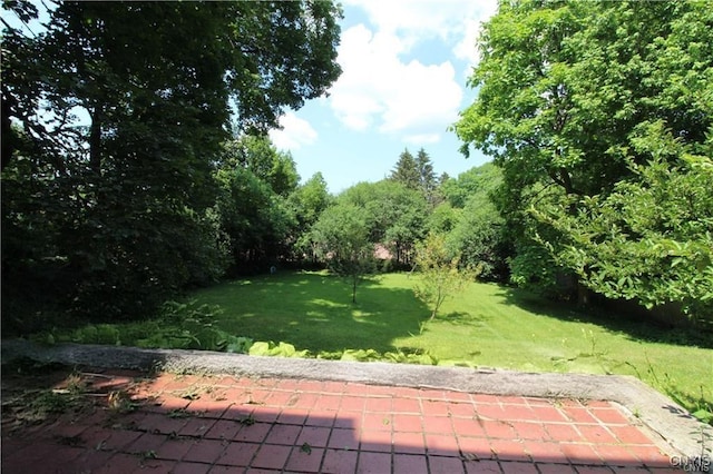 307 Farmer St, Syracuse, NY 13203 - photo 40