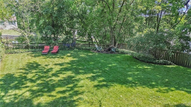 200 Halton Rd, Dewitt, NY 13224 - view of fenced backyard