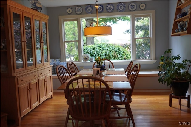 64 Bunner St, Oswego, NY 13126 - dining area featuring light wood-style floors