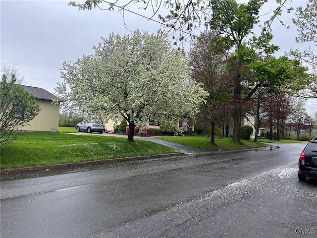 64 Bunner St, Oswego, NY 13126 - view of asphalt road featuring curbs