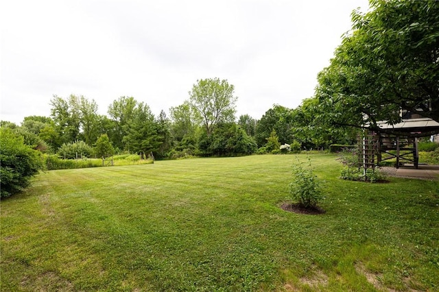326 Cheese Factory Rd, Mendon, NY 14472 - view of grassy yard
