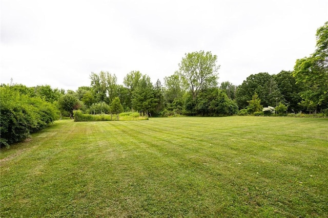 326 Cheese Factory Rd, Mendon, NY 14472 - view of green lawn