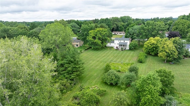 326 Cheese Factory Rd, Mendon, NY 14472 - aerial view of sparsely populated area
