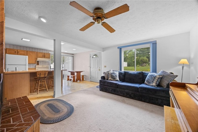 1521 Aster Ter, Walworth, NY 14568 - living room with a textured ceiling, ceiling fan, and light colored carpet