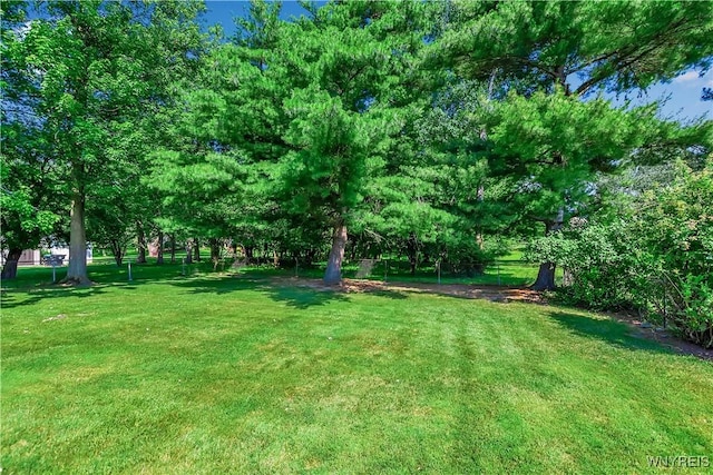 566 Adam St, Tonawanda, NY 14150 - view of green lawn