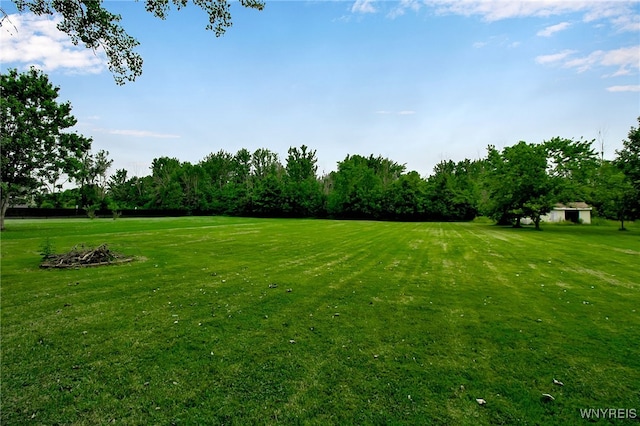 3029 Stieg Rd, Wheatfield, NY 14120 - view of green lawn