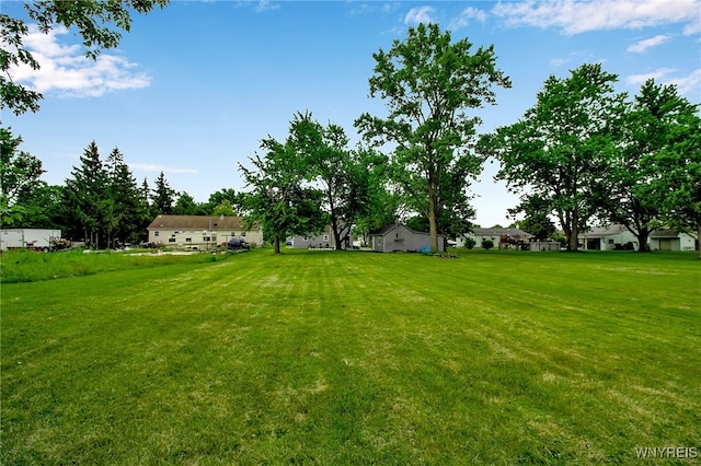 3029 Stieg Rd, Wheatfield, NY 14120 - view of green lawn with a residential view