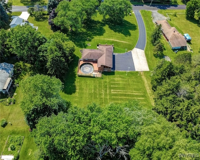 5007 Meyers Hill Rd, Lewiston, NY 14132 - photo 50