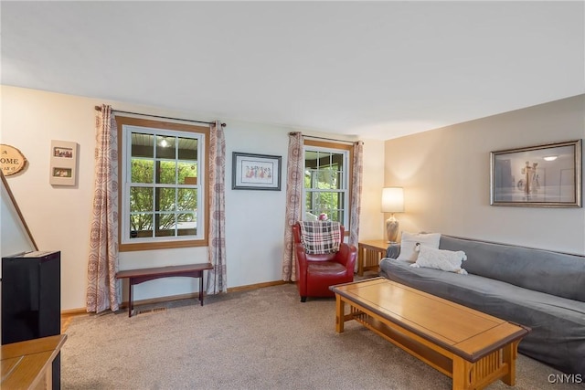 22 Tree Line Dr, Clay, NY 13090 - carpeted living room featuring healthy amount of natural light