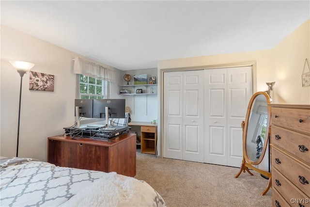 22 Tree Line Dr, Clay, NY 13090 - bedroom with light carpet, a closet, and a desk