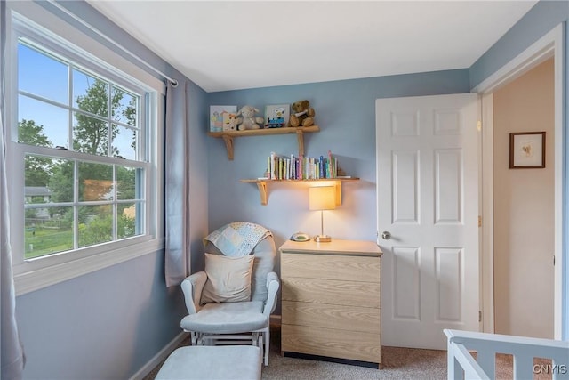 22 Tree Line Dr, Clay, NY 13090 - sitting room featuring plenty of natural light and carpet flooring
