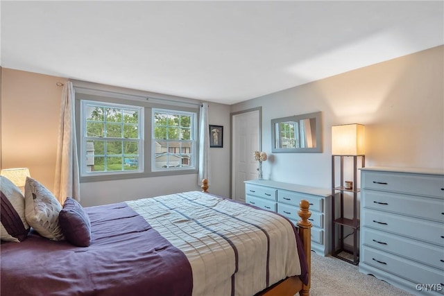 22 Tree Line Dr, Clay, NY 13090 - bedroom featuring light colored carpet
