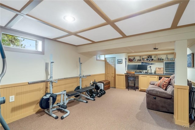 22 Tree Line Dr, Clay, NY 13090 - workout room with a wainscoted wall and light colored carpet