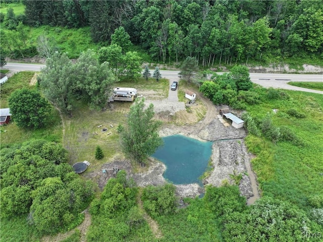 4100 Five Mile Rd, Humphrey, NY 14706 - photo 5