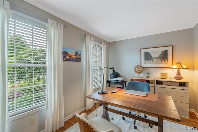 9607 Dunderry, Lysander, NY 13027 - office with plenty of natural light, light wood finished floors, and crown molding