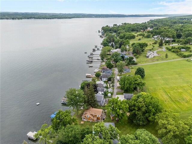 4969 Walnut Cove Dr, Canandaigua Town, NY 14424 - aerial view of property's location with a large body of water