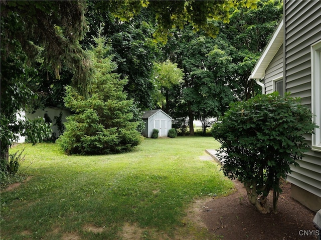1138 Harrison St, Watertown City, NY 13601 - photo 6