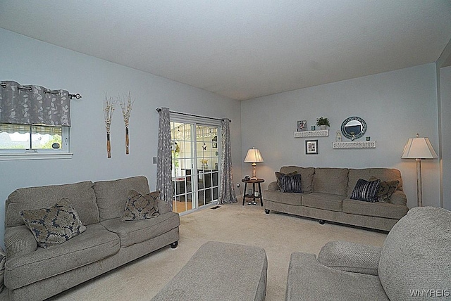 114 Slate Bottom Dr, Lancaster, NY 14043 - living area featuring carpet flooring