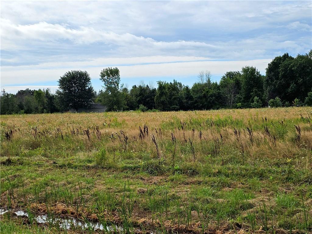 216 Collamer Rd, Parma, NY 14468 - photo 2