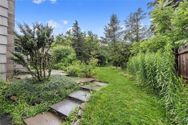 17 Burr St, Cazenovia, NY 13035 - view of yard