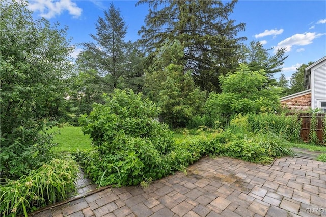 17 Burr St, Cazenovia, NY 13035 - view of patio