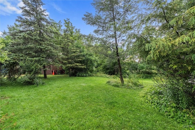 17 Burr St, Cazenovia, NY 13035 - view of green lawn