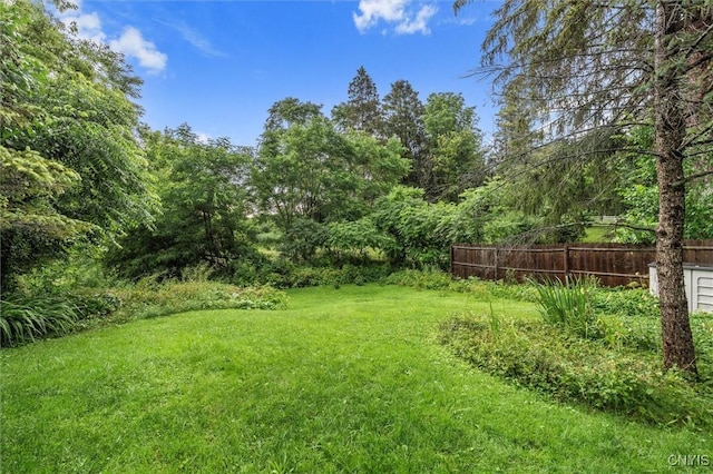 17 Burr St, Cazenovia, NY 13035 - view of yard