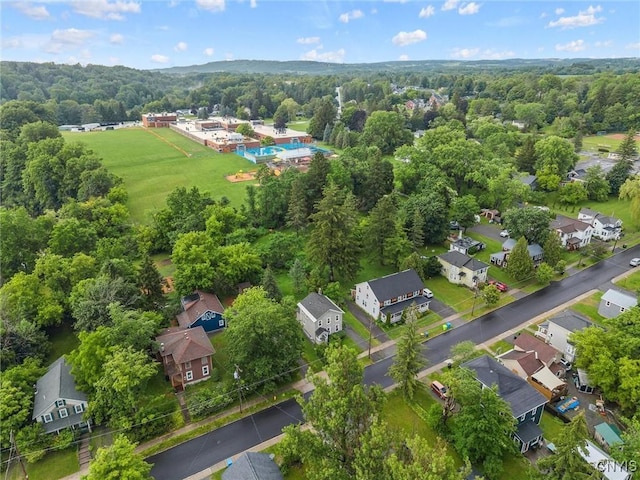 17 Burr St, Cazenovia, NY 13035 - aerial view of residential area with a forest
