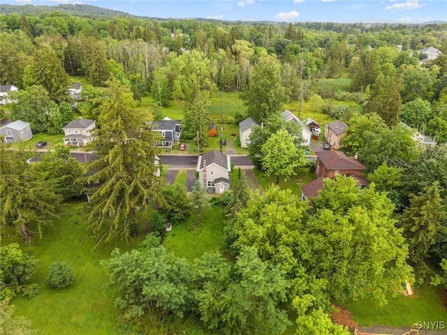 17 Burr St, Cazenovia, NY 13035 - aerial view of a forest