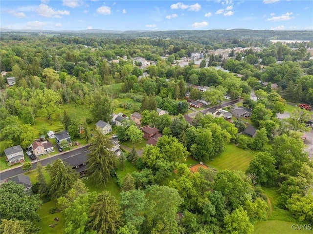 17 Burr St, Cazenovia, NY 13035 - aerial perspective of suburban area featuring a forest