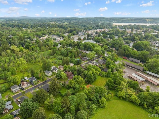 17 Burr St, Cazenovia, NY 13035 - aerial view of residential area with a heavily wooded area