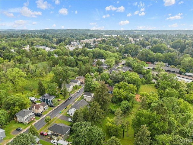 17 Burr St, Cazenovia, NY 13035 - aerial view of property and surrounding area featuring nearby suburban area and a forest