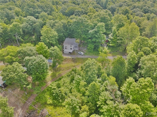 125 S Shore Rd, Macomb, NY 13642 - photo 22