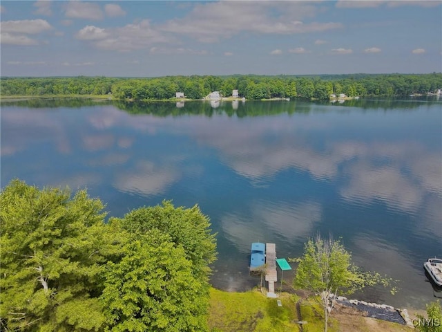 125 S Shore Rd, Macomb, NY 13642 - photo 23